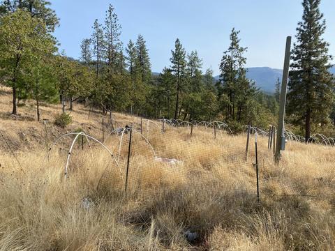 9463 E Antelope Rd, Eagle Point, OR 97524 photo 7