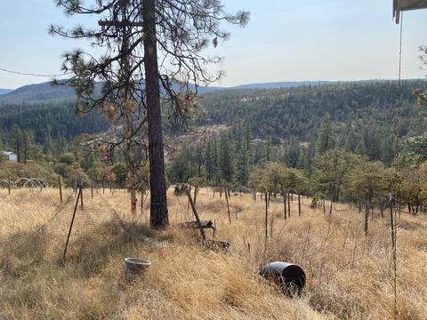 9463 E Antelope Rd, Eagle Point, OR 97524 photo 1