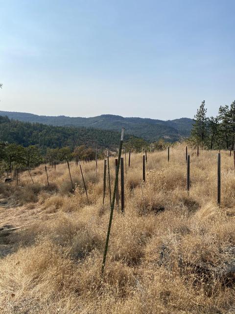9463 E Antelope Rd, Eagle Point, OR 97524 photo 10