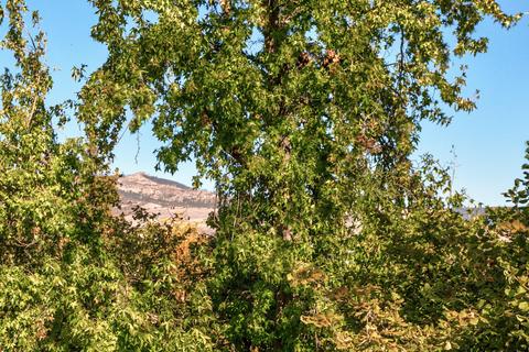 200 Gresham St, Ashland, OR 97520 photo 38