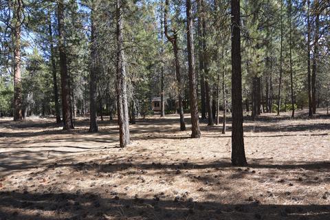 51942 Pacific Willow, La Pine, OR 97739 photo 5