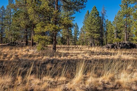 18168 Oregon Loop, Sunriver, OR 97707 photo 34