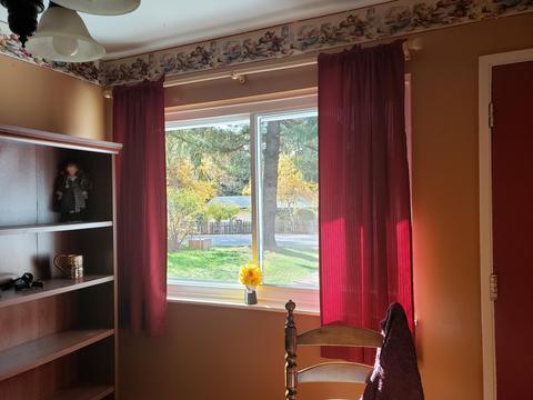 217 Shadowbrook Dr, Cave Junction, OR 97523 photo 17