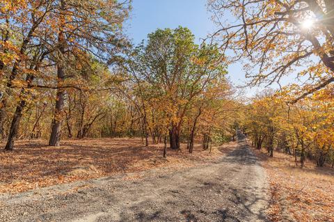 00 Azalea Drive Cut Off Rd, Grants Pass, OR 97526