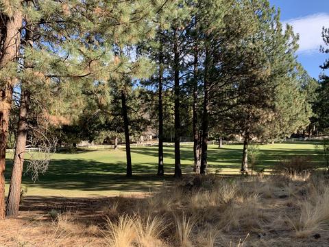 60849 Willow Creek Loop, Bend, OR 97702 photo 22