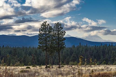 19030 NW Squirreltail Loop, Bend, OR 97703 photo 8