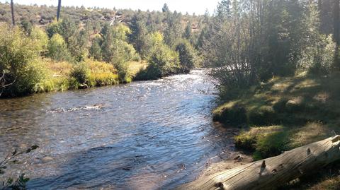 19030 NW Squirreltail Loop, Bend, OR 97703 photo 37