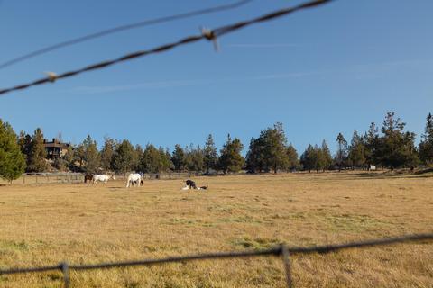 20135 Rodeo Dr, Bend, OR 97703 photo 22