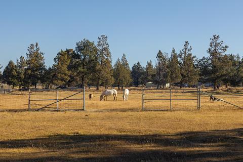 20135 Rodeo Dr, Bend, OR 97703 photo 20