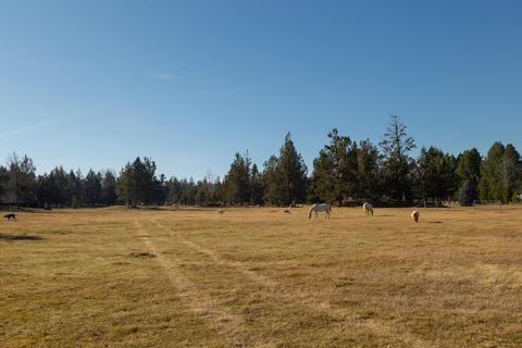 20135 Rodeo Dr, Bend, OR 97703 photo 13