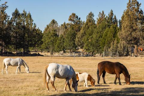 20135 Rodeo Dr, Bend, OR 97703 photo 14