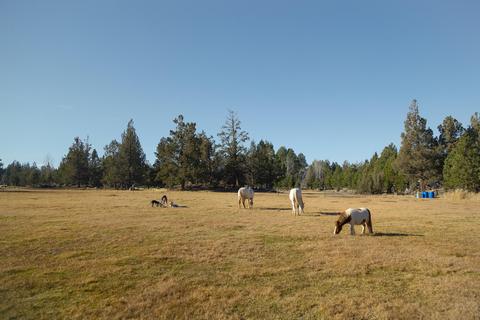 20135 Rodeo Dr, Bend, OR 97703 photo 17