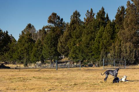 20135 Rodeo Dr, Bend, OR 97703 photo 18