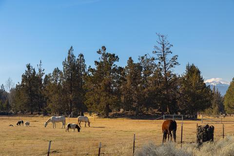 20135 Rodeo Dr, Bend, OR 97703 photo 2