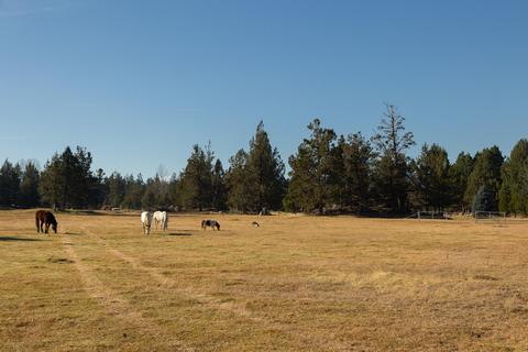 20135 Rodeo Dr, Bend, OR 97703 photo 12
