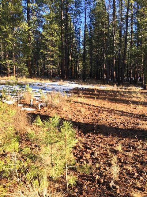 56197 Sable Rock Loop Loop, Bend, OR 97707 photo 5