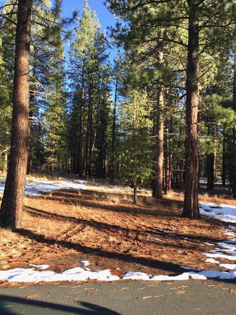 56197 Sable Rock Loop Loop, Bend, OR 97707 photo 6
