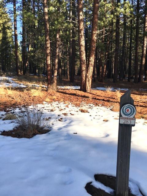 56197 Sable Rock Loop Loop, Bend, OR 97707 photo 3