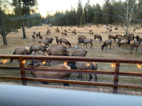 55065 Jack Pine Way, Bend, OR 97707 photo 32
