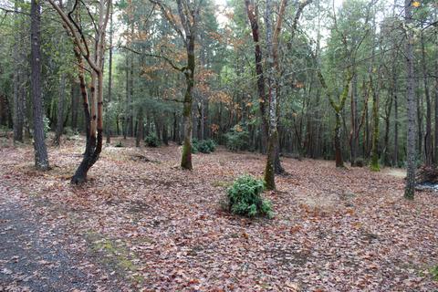 1212 Hogan Rd, Applegate, OR 97530 photo 47