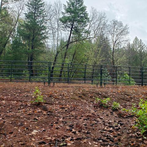 1212 Hogan Rd, Applegate, OR 97530 photo 49