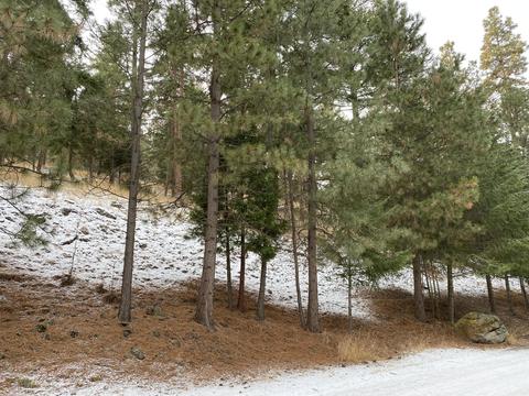 Ponderosa Drive, Klamath Falls, OR 97601