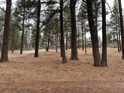 33185 Elde St, Chiloquin, OR 97624 photo 51