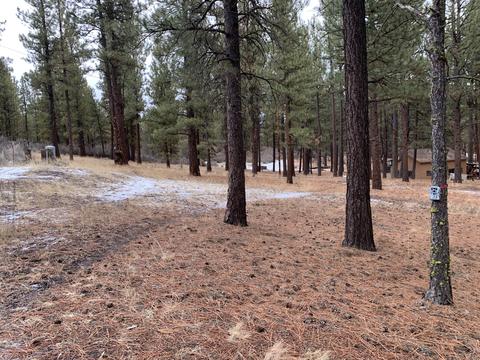 33185 Elde St, Chiloquin, OR 97624 photo 44