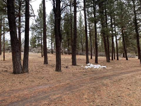 33185 Elde St, Chiloquin, OR 97624 photo 50