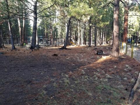 14560 Mountain View Loop, Sisters, OR 97759 photo 24