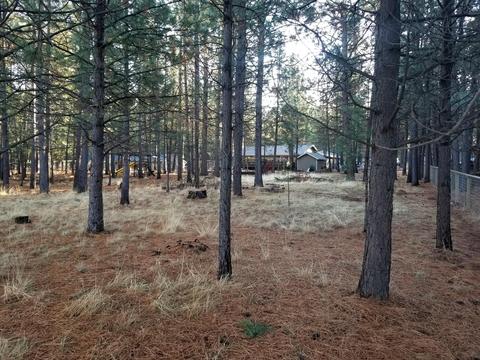 14560 Mountain View Loop, Sisters, OR 97759 photo 26