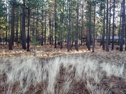 14560 Mountain View Loop, Sisters, OR 97759 photo 6