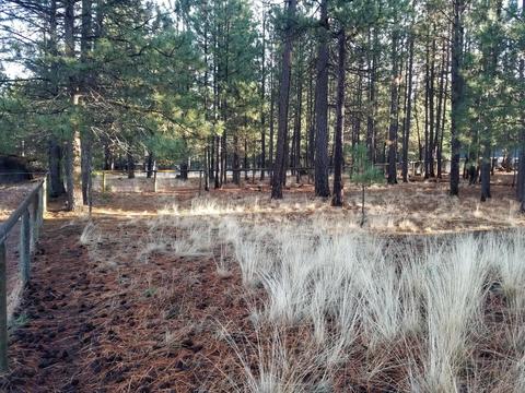 14560 Mountain View Loop, Sisters, OR 97759 photo 27