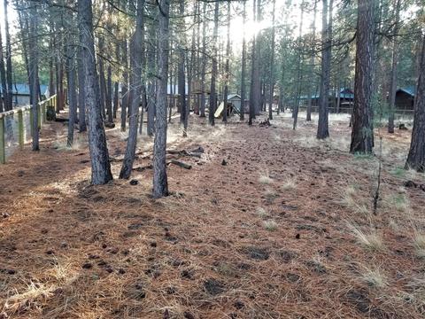 14560 Mountain View Loop, Sisters, OR 97759 photo 5