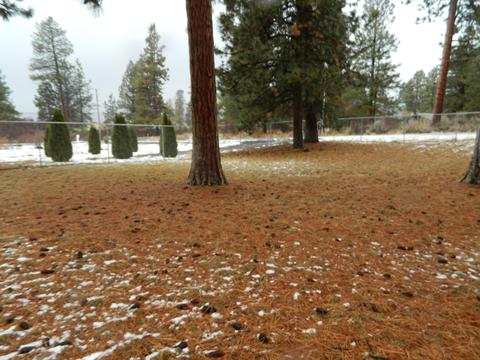 34626 Wrightwood Pl, Chiloquin, OR 97624 photo 18
