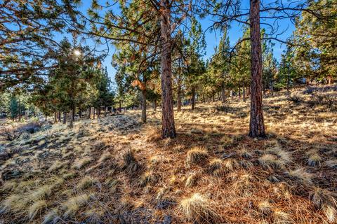 1845 NW Perspective Dr, Bend, OR 97703 photo 6