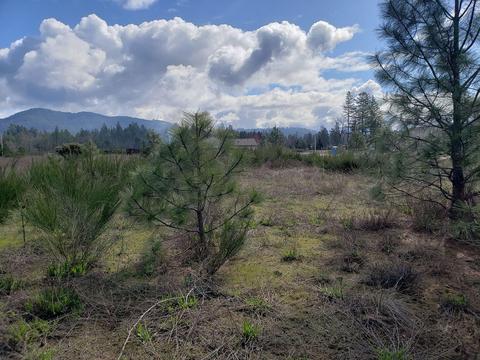 103 Cabernet Cir, Cave Junction, OR 97523 photo 1