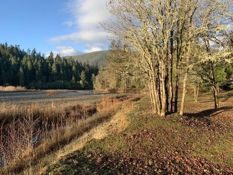 552 E Forks Cir, Cave Junction, OR 97523 photo 10