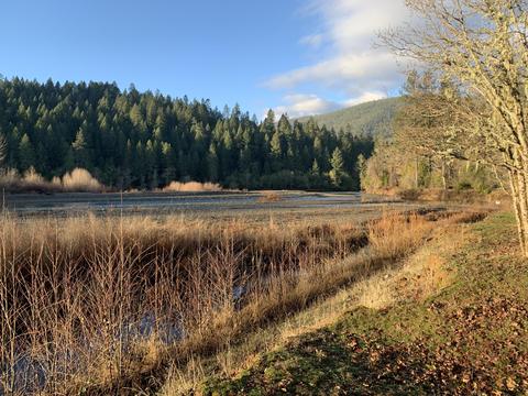 552 E Forks Cir, Cave Junction, OR 97523 photo 8