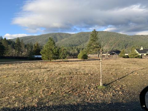 552 E Forks Cir, Cave Junction, OR 97523 photo 11