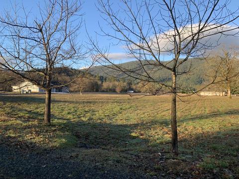 552 E Forks Cir, Cave Junction, OR 97523 photo 6