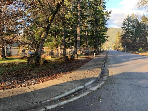 552 E Forks Cir, Cave Junction, OR 97523 photo 3