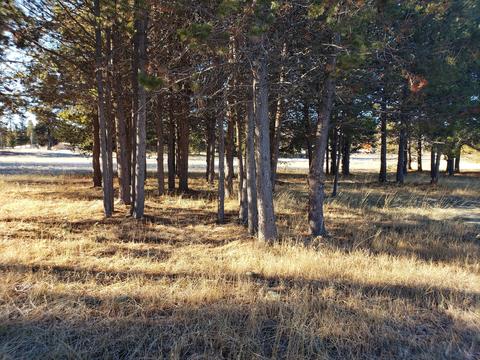 16685 Sprague Loop, La Pine, OR 97739 photo 14