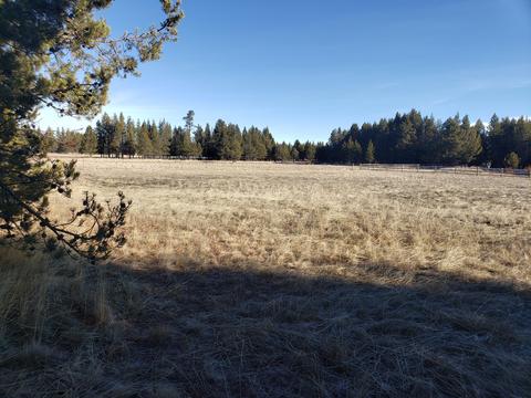 16685 Sprague Loop, La Pine, OR 97739 photo 16