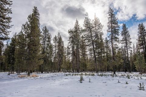 15887 Wright Ave, La Pine, OR 97739 photo 27