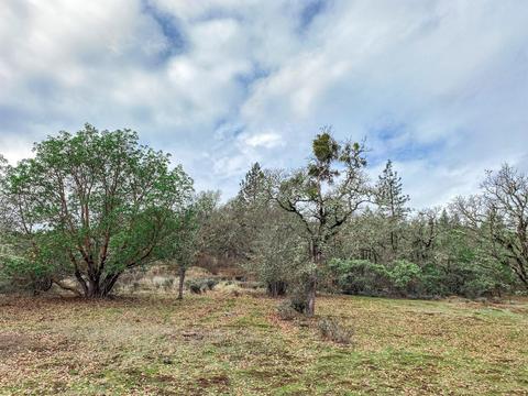 3993 Rogue River Dr, Eagle Point, OR 97524 photo 31