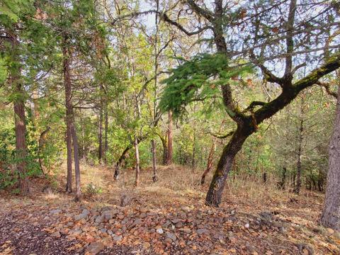 3993 Rogue River Dr, Eagle Point, OR 97524 photo 45