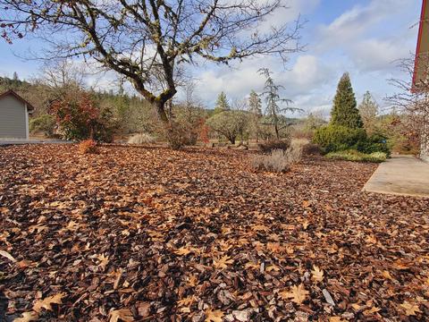 3993 Rogue River Dr, Eagle Point, OR 97524 photo 60