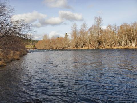 3993 Rogue River Dr, Eagle Point, OR 97524 photo 63