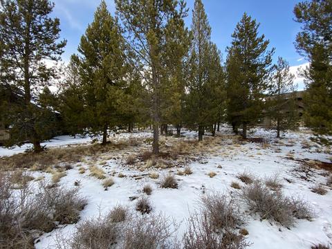 56760 Dancing Rock Loop, Bend, OR 97707 photo 10
